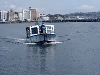 遊覧船べんてん丸 岩屋乗り場の写真・動画_image_594699