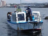 遊覧船べんてん丸 岩屋乗り場の写真・動画_image_594700