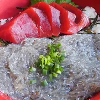 藤浪の写真・動画_image_594712