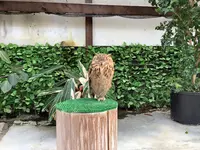 掛川花鳥園の写真・動画_image_594720