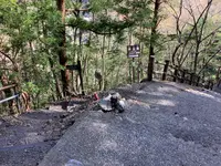 猿並橋の写真・動画_image_594722