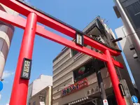 鶴岡八幡宮の写真・動画_image_594833