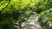 東福寺の写真・動画_image_595196