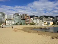 熱海サンビーチの写真・動画_image_595828