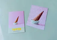 TUTTOの写真・動画_image_596088