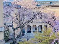 京都府庁 旧本館の写真・動画_image_596361