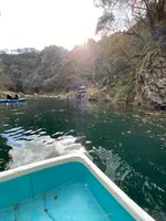 高千穂峡の写真・動画_image_596585