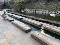 荒湯の写真・動画_image_596943