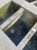 荒湯の写真・動画_image_596944
