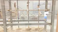 CERABO KUTANI｜セラボクタニ（九谷セラミック・ラボラトリー）の写真・動画_image_597057