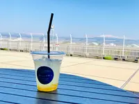 海とハクサンの写真・動画_image_597081