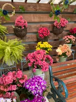 しまね花の郷の写真・動画_image_597721