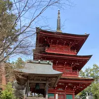 柏原八幡宮の写真・動画_image_597903
