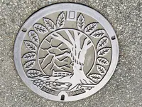 木の根橋の写真・動画_image_597921