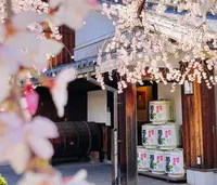 菊正宗酒造記念館の写真・動画_image_597946
