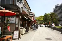 伏見稲荷大社の写真・動画_image_599164