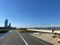 Hotel NH Torino Lingotto Congressの写真・動画_image_599448