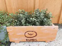 Kunel no tsuzukiの写真・動画_image_599788