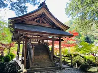 白毫寺の写真・動画_image_600017