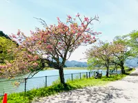 水分れ茶屋 by Amhara Coffee Stand.の写真・動画_image_600022
