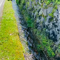 大名草庵の写真・動画_image_600036