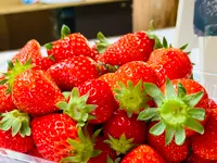 ことぶき農園の写真・動画_image_600038