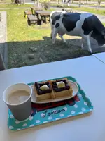 道の駅 朝霧高原の写真・動画_image_600599