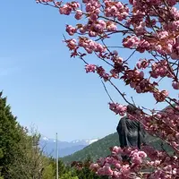 信濃比叡廣拯院の写真・動画_image_600875