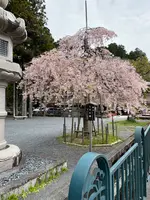 奥の院口バス停の写真・動画_image_601021