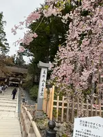 千手院橋（東）バス停の写真・動画_image_601032