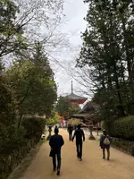 千手院橋（東）バス停の写真・動画_image_601034