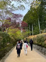 千手院橋（東）バス停の写真・動画_image_601035