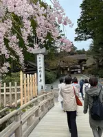 千手院橋（東）バス停の写真・動画_image_601040
