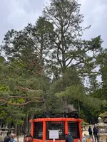 千手院橋（東）バス停の写真・動画_image_601041