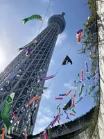 東京スカイツリーの写真・動画_image_601248