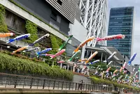 東京スカイツリーの写真・動画_image_601300