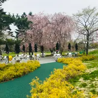 軽井沢フラットブレッズの写真・動画_image_601420