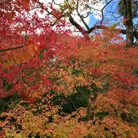 雲場池の写真・動画_image_601422