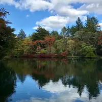 雲場池の写真・動画_image_601424