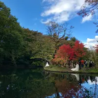 雲場池の写真・動画_image_601425