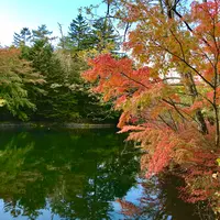 雲場池の写真・動画_image_601426