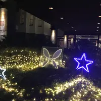 ホテルハーヴェスト旧軽井沢の写真・動画_image_601430