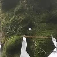 熊野皇大神社の写真・動画_image_601441