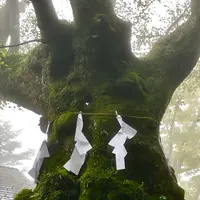 熊野皇大神社の写真・動画_image_601442