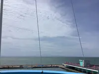 魚津埋没林博物館の写真・動画_image_601678