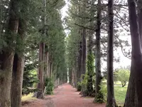 眼目山立山寺（通称さっかのてら）の写真・動画_image_601712