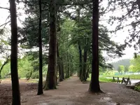 眼目山立山寺（通称さっかのてら）の写真・動画_image_601714