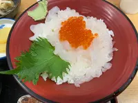 きときと食堂の写真・動画_image_601967