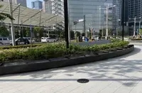 YANMAR TOKYO（ヤンマー東京）の写真・動画_image_602190