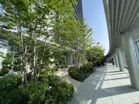 東京ミッドタウン八重洲の写真・動画_image_602200